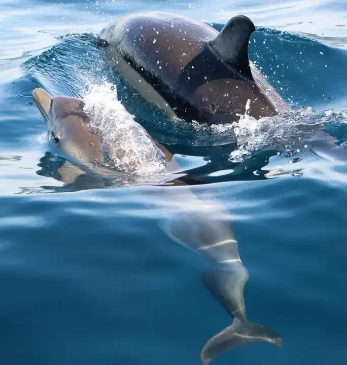 Atividades na região