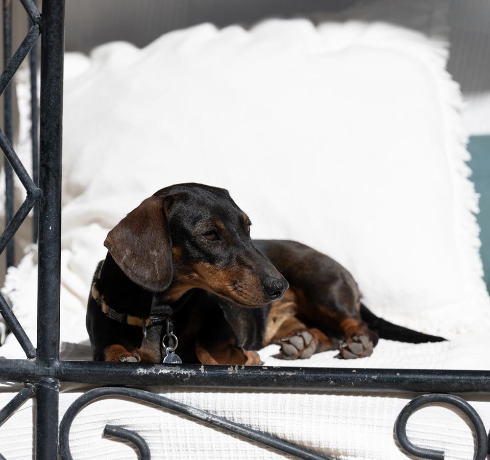 Sustentabilidade na Quinta